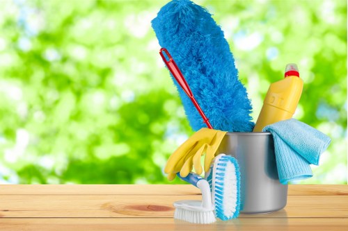 Accessible Enfield Cleaners website shown with inclusive navigation features