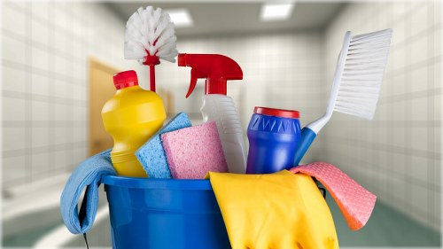 Professional Enfield cleaners beginning a thorough home cleaning service