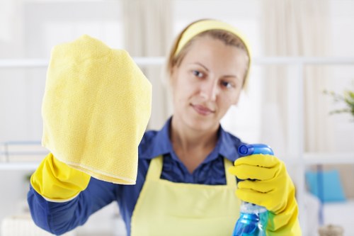 Upholstery stain removal and fabric care service in Enfield