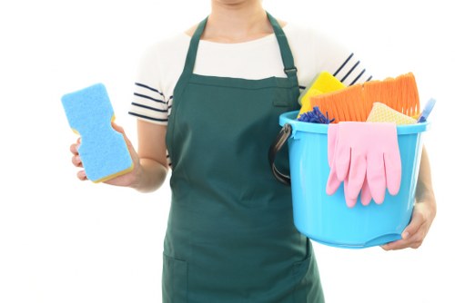 Professional cleaners providing home cleaning services in Enfield
