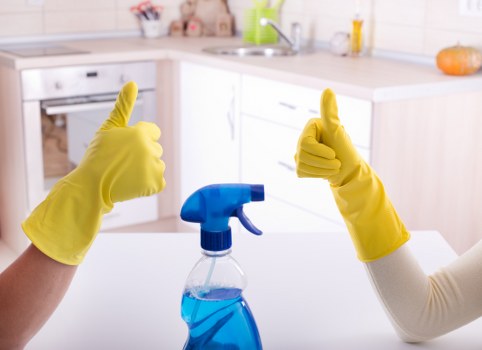 Experienced Enfield cleaners providing the final touch to a clean space