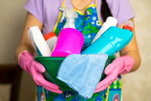 Safe cleaning practices inside a home with attention to property protection