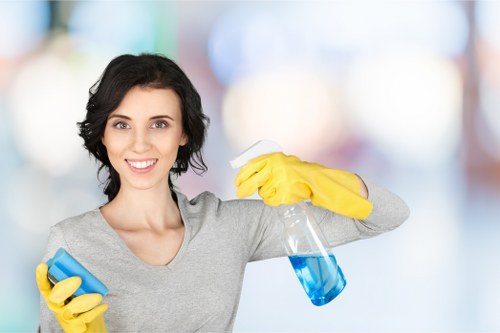 Regular domestic cleaning service for Enfield households