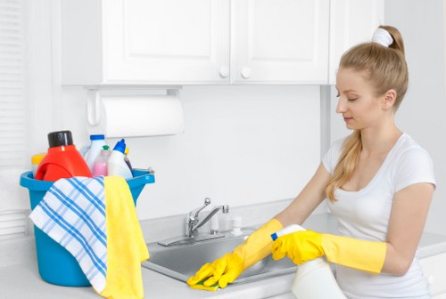 Domestic cleaners in Enfield vacuuming and dusting a modern home