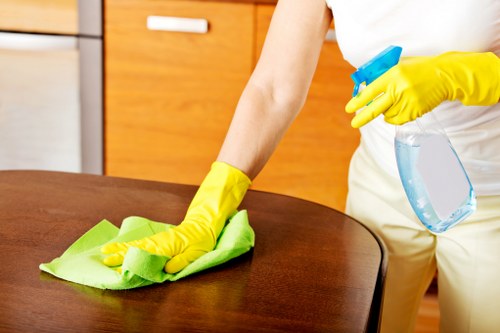 Bathroom sanitising during house cleaning in Enfield