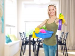 Enfield Domestic Cleaning EN1